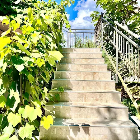Porec, Spadici, Brand New * 波雷奇